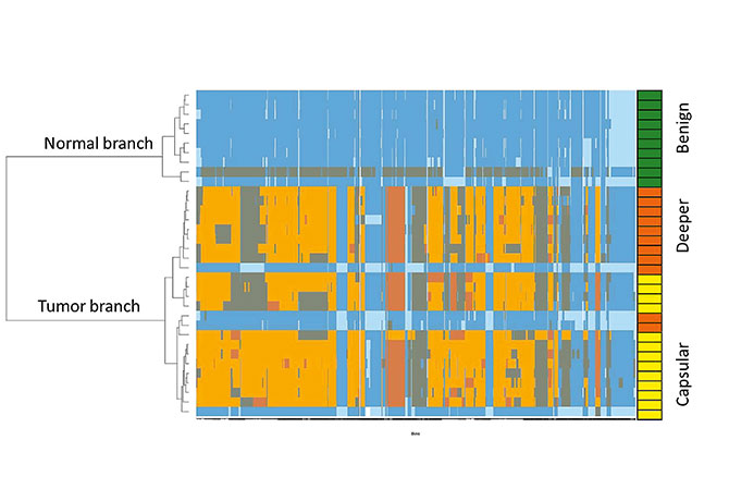 image of heat map showing values across breakpoints of single cells 