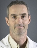 Photo of David Frankel