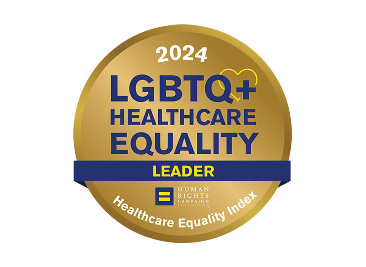 Photo of LGBT HEI 2024 logo
