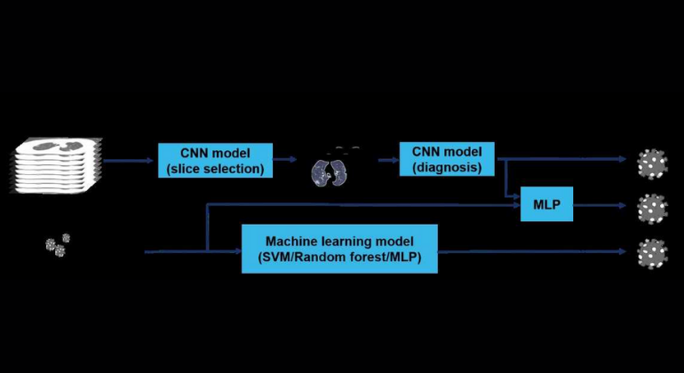 Illustration of the modeling framework