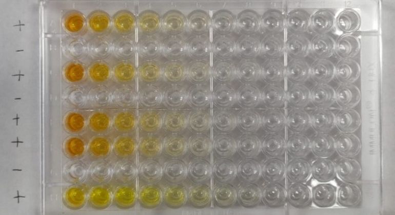 Image of lab flasks