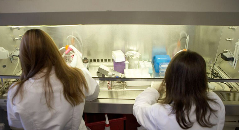 Doctors in a research lab