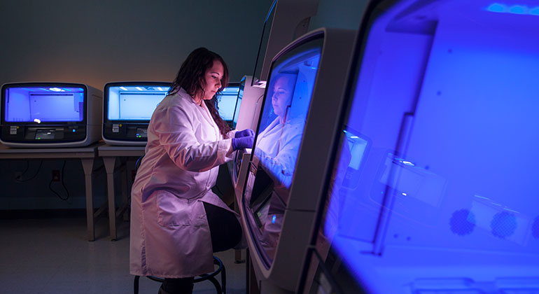 Doctor studying screens