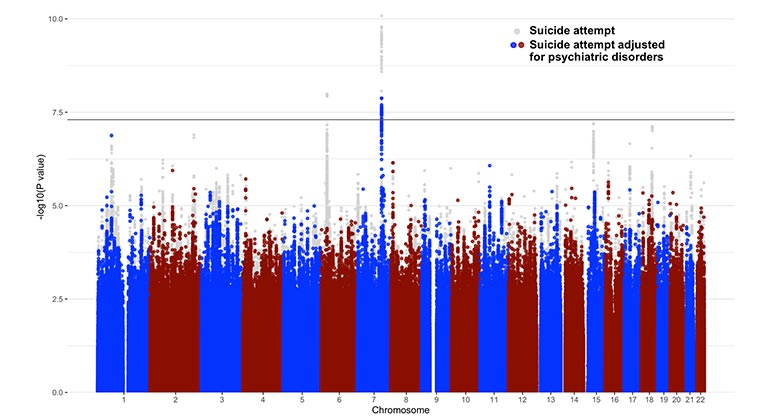 Newswise: Largest Genetic Study of Suicide Attempts Confirms Genetic Underpinnings That Are Not Driven by Underlying Psychiatric Disorders
