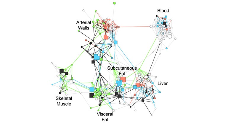 gene networks