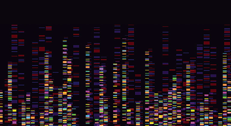 nytgeneticsproject