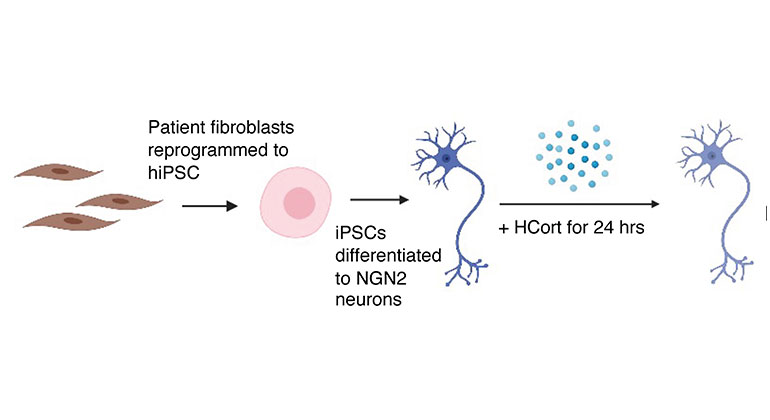 Knowledge Gaps in Generating Cell-Based Drug Delivery Systems and a  Possible Meeting with Artificial Intelligence