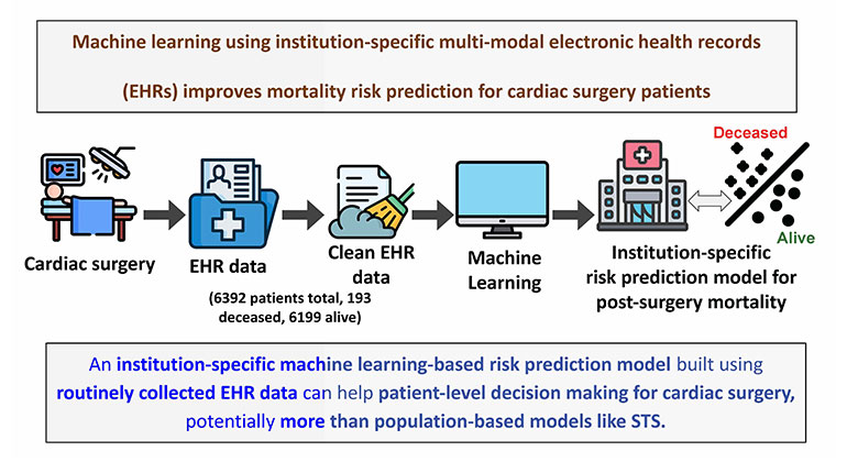 Machine Learning Model