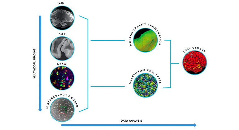 Can Humans Create a Soul? - Sinai and Synapses