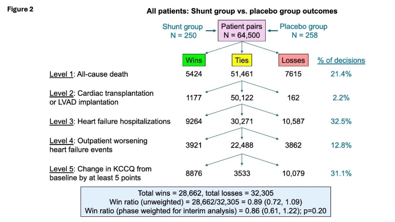 Heart failure chart