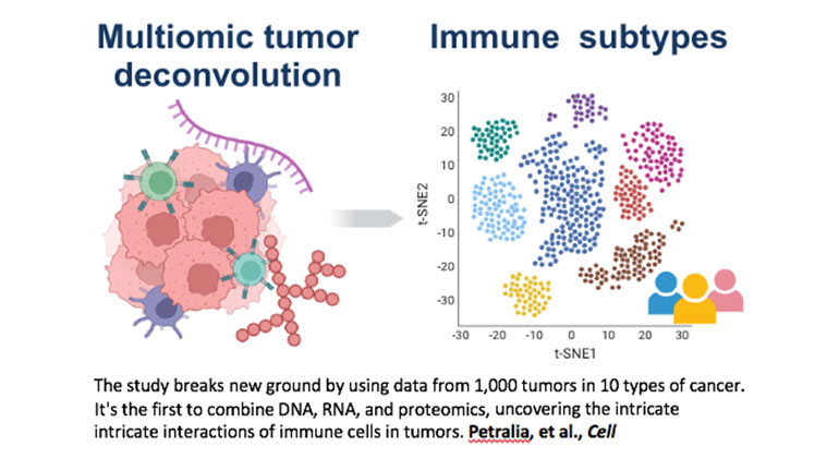 Immune subtypes graphic