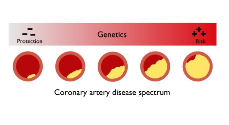 genetic