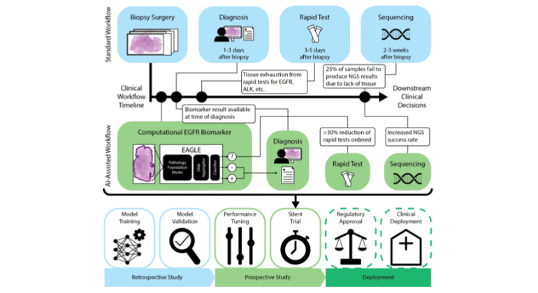 AI Pathologists