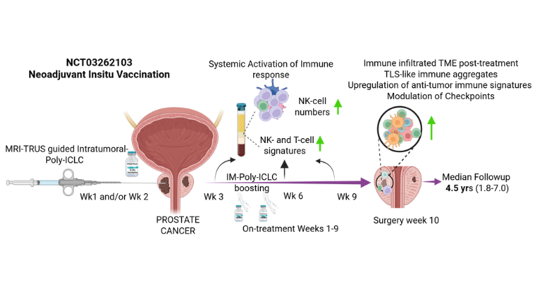 Immune-Boosting Therapy
