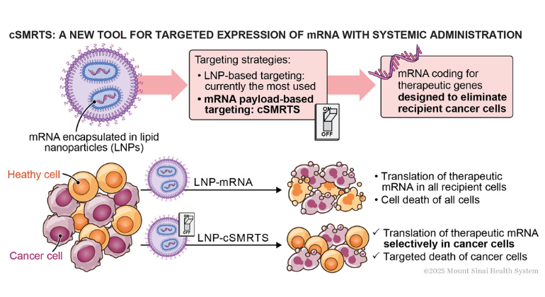 mRNA Therapy
