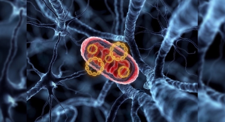 AlzheimersProgression