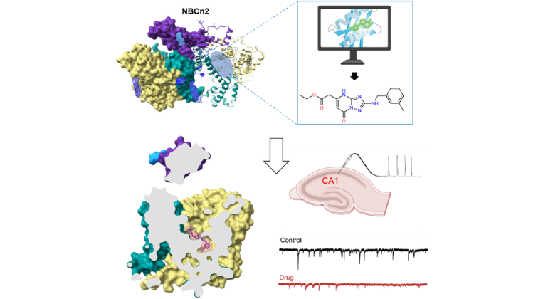 Brain Protein