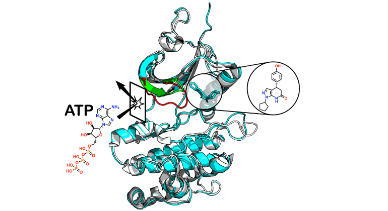 Drug Binding Cancer Protein