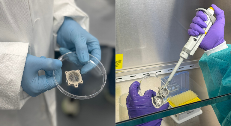 Blanchard lab prepares tissue for mission