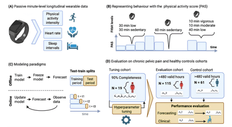 Wearables