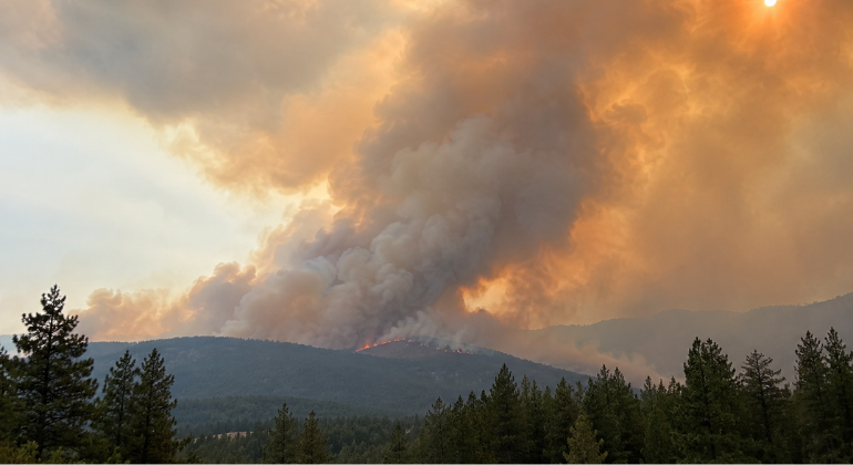 Wildfire