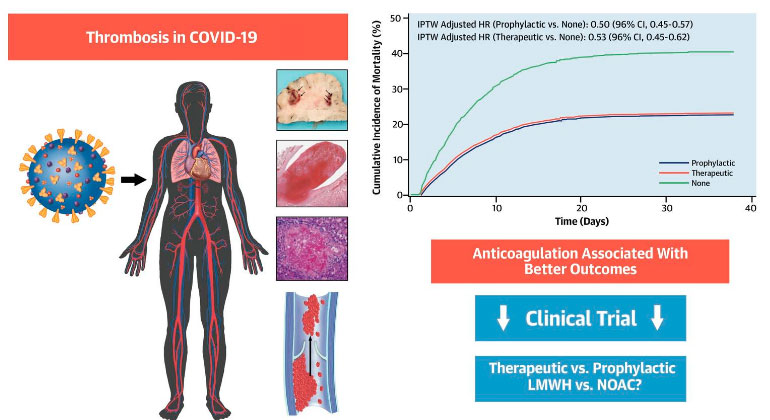 Anticoagulation chart