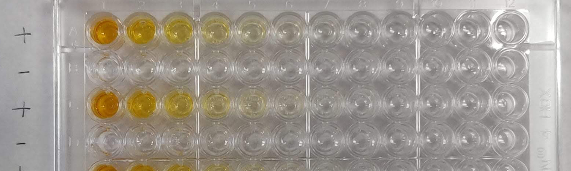 Image of lab flasks