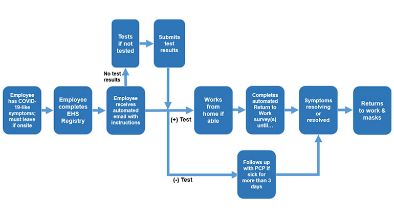 workflow chart