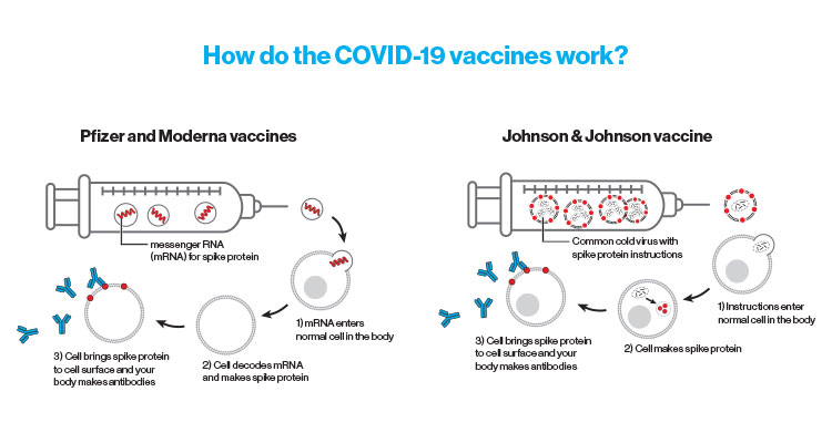 vaccine infographic