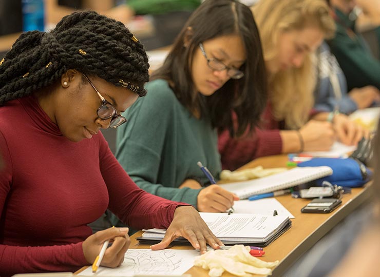 Photo of Diverse students