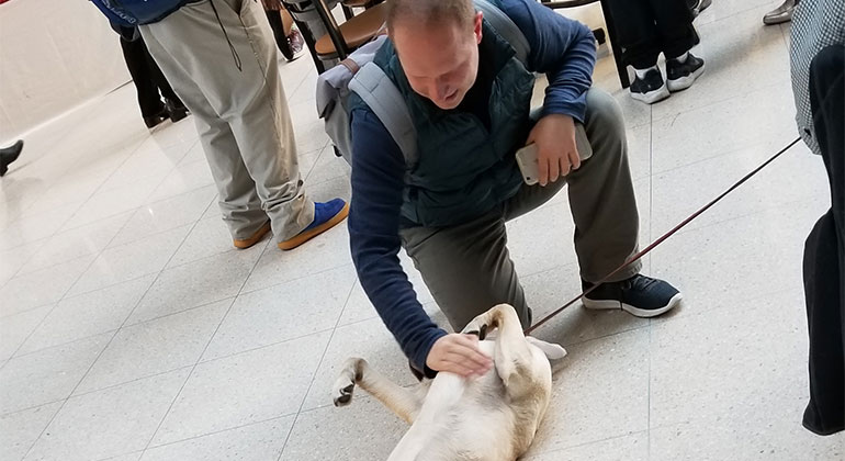 Attendee and service dog