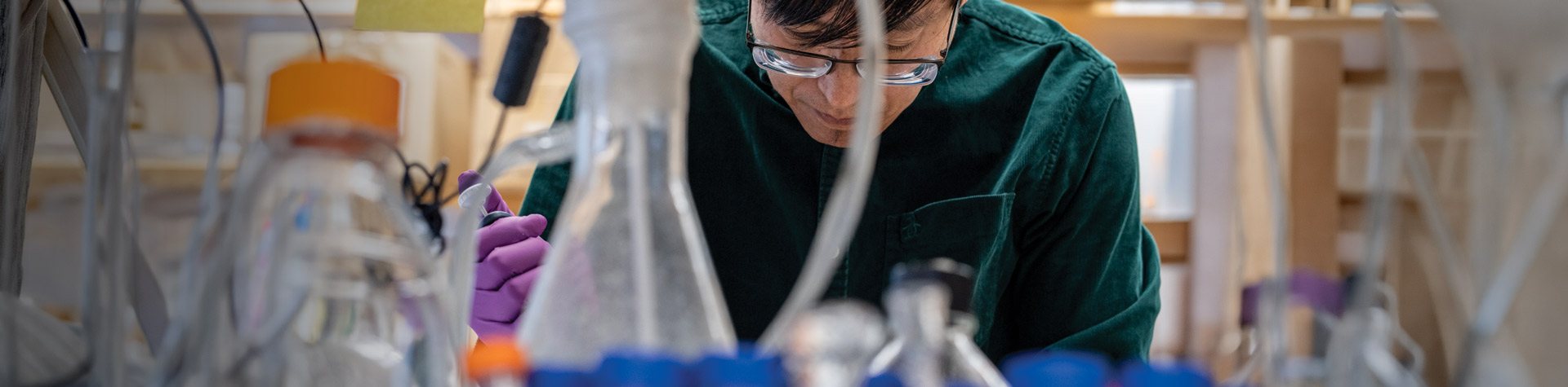 Image of researcher in lab
