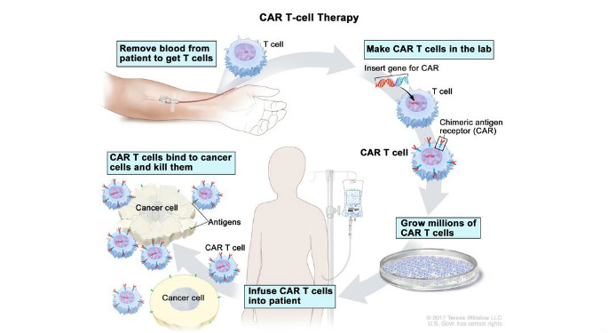 National Cancer Chart