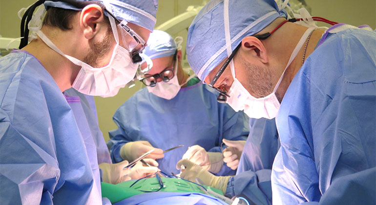 Surgeons performing procedure