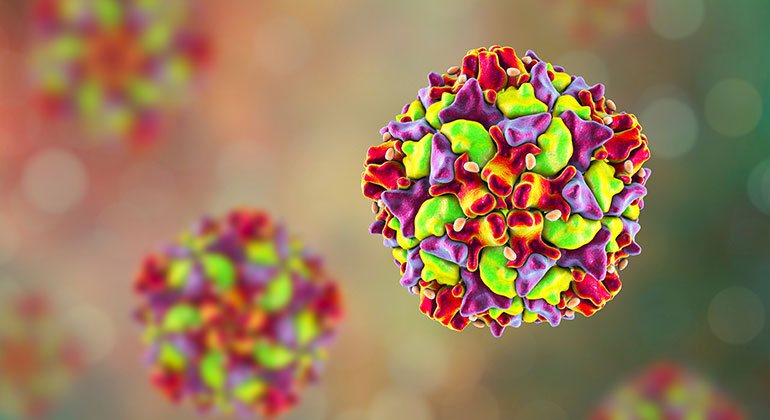 polio virus graphic