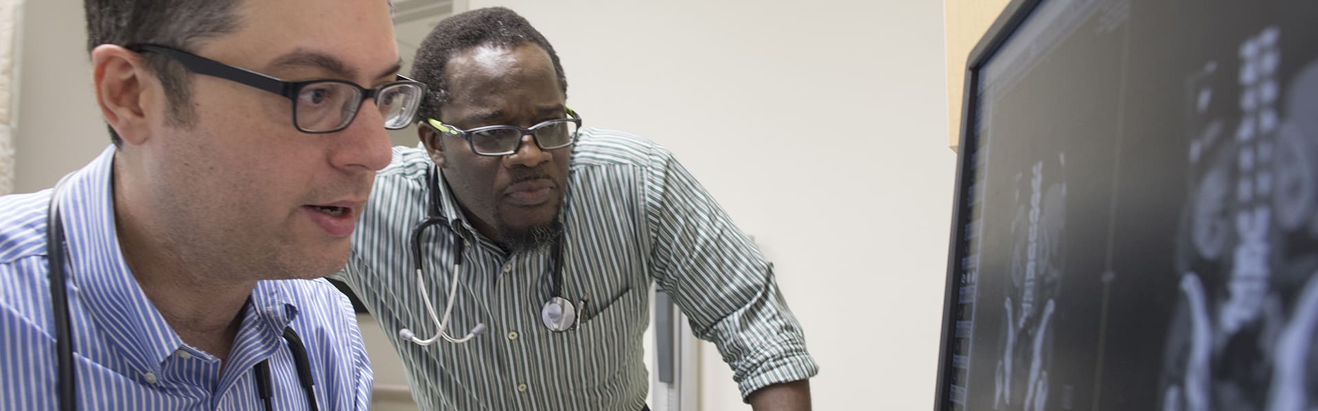 Male doctors looking at computer screen