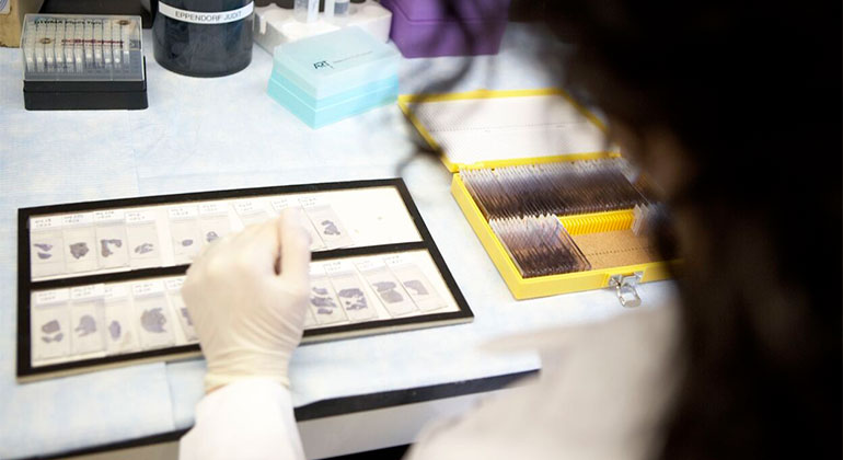 Image of doctor in research lab