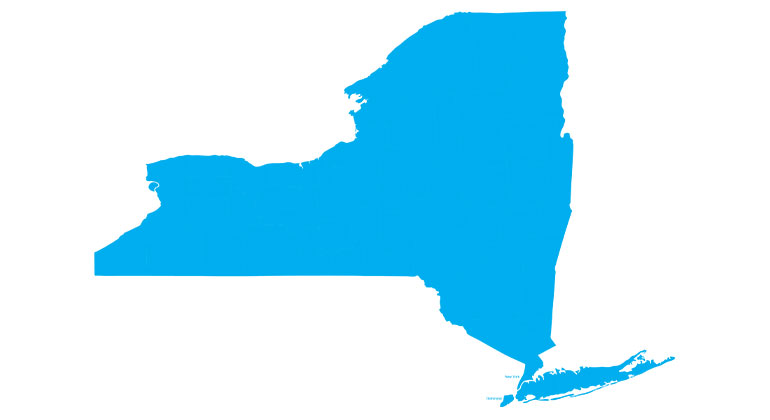 State of New York