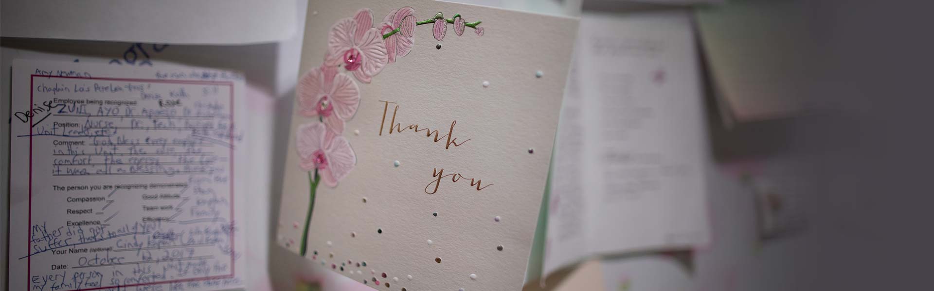 Photo of a thank you card amongst a wall of thank you cards