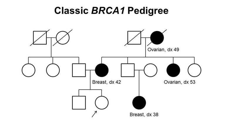BRCA1 graphic