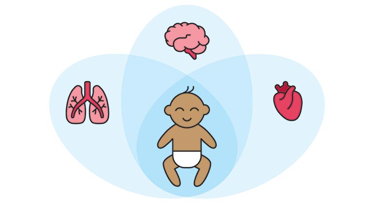 Pediatric heart and brain