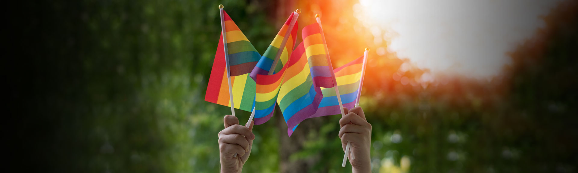 Image of LGBT flag