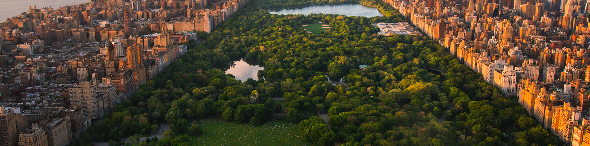 NYC buildings, scenery and trees