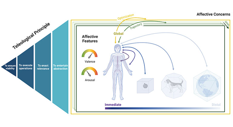 diagram graphic