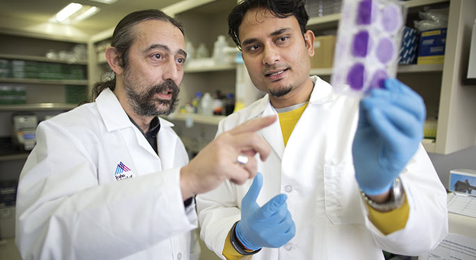 Male doctors doing research