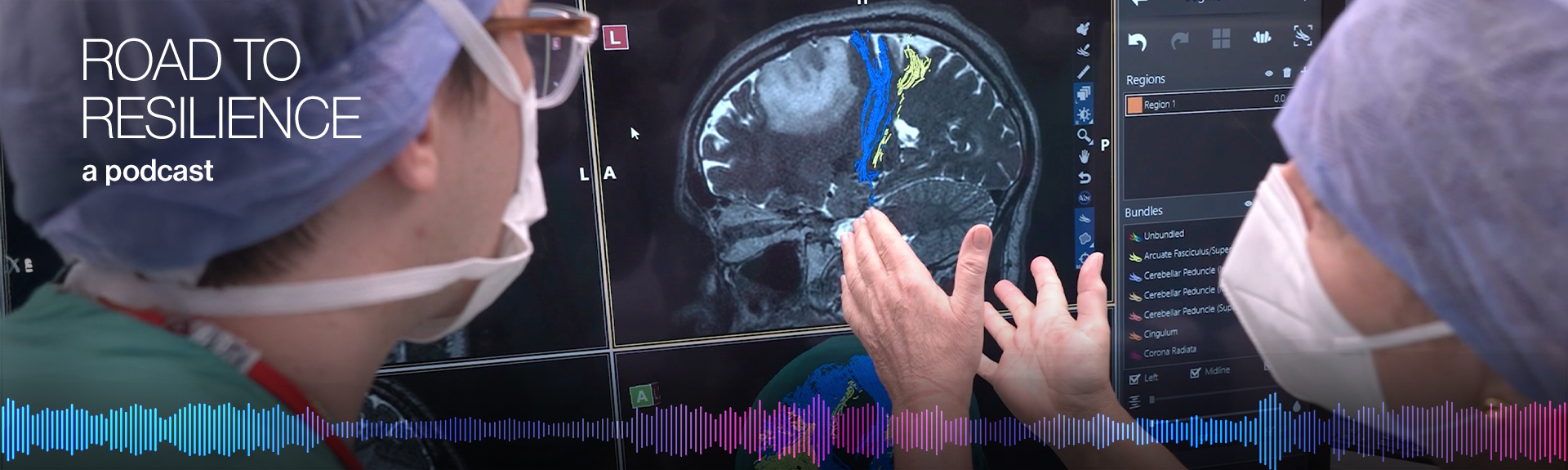 image of doctors lookingat brain scan