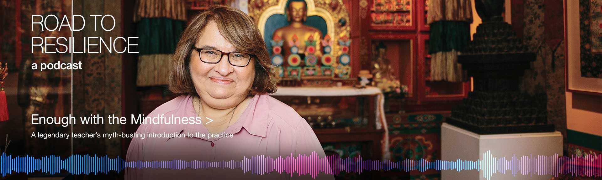 Image of Sharon Salzberg