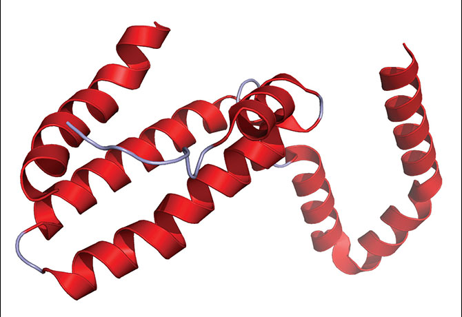 Mutations in the gene that produce the IL-10 cytokine, shown in this image, have been shown to be a cause of VEO-IBD.