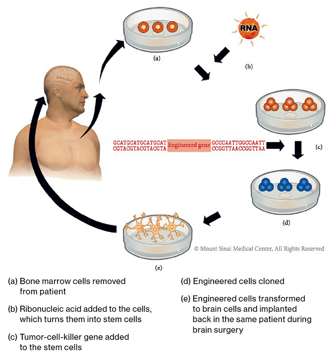 Stem Cells manipulation chart