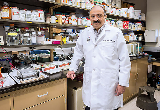 A portrait of Mone Zaidi, MD, PhD